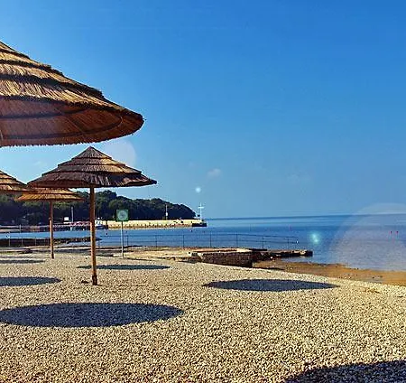 Anton * Poreč