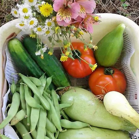 Anton Апартаменты